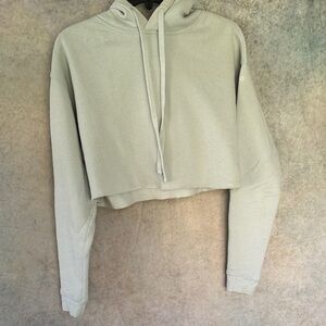 Alo Cropped Hoodie